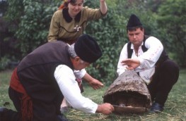 bulgarian beekeeping