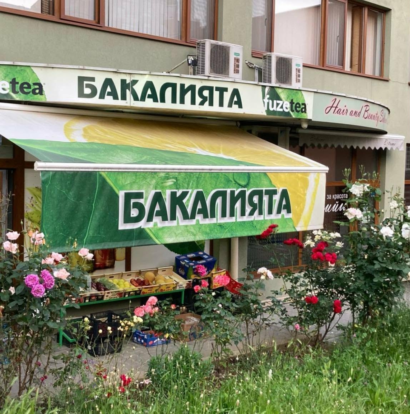 Магазин БАКАЛИЯТА, гр. Велико Търново